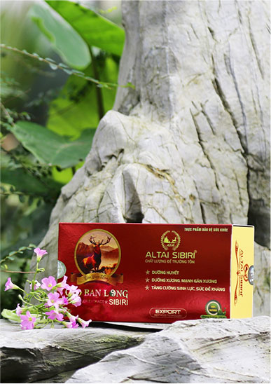 Combo 02 hộp Cao Ban Long Sibiri 100g - Tặng ngay 01 hộp Tỏi Đen 300g