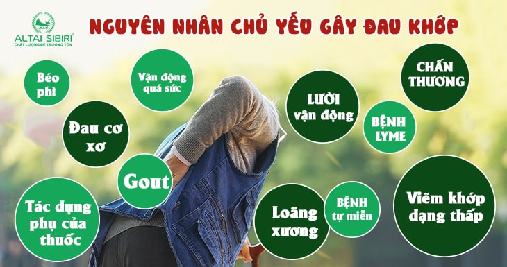 thuốc đông y chữa xương khớp