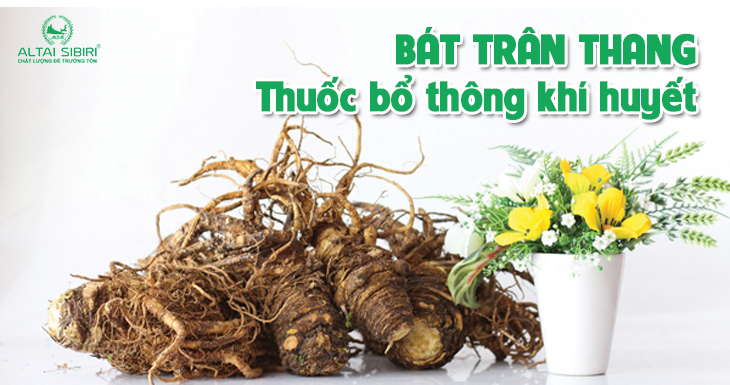 Thuốc bổ khí thông huyết