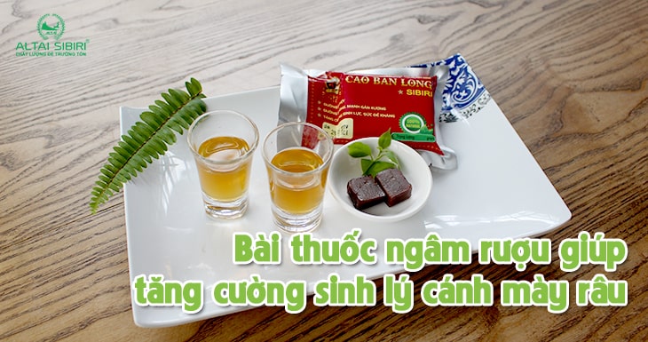 bài thuốc ngâm rượu tăng cường sinh lý