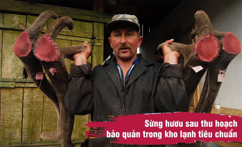 quy trinh san xuat cao ban long